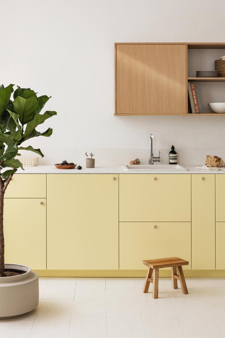 Handle | Mini-Rond