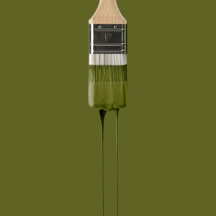 Wall paint | Green 10 - Romarin | Margaux Keller x Plum