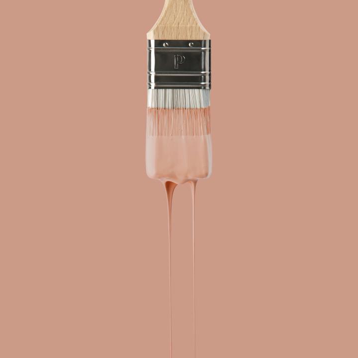 Wall paint | Red 03 - Blush