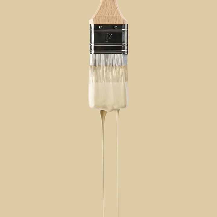 Wall paint | Beige 02 - Sable