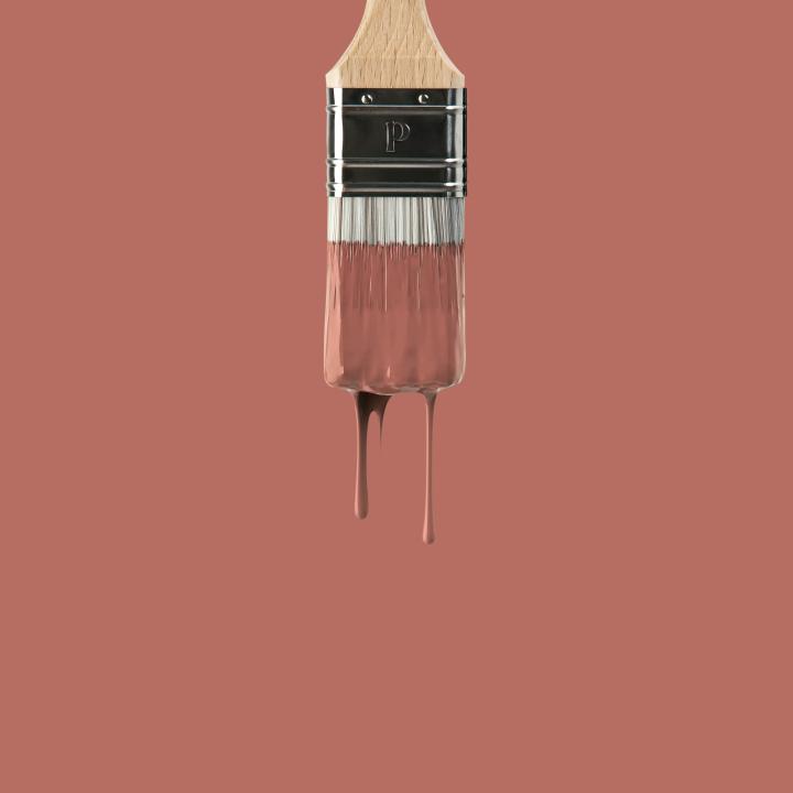 Wall paint | Red 02 - Argile