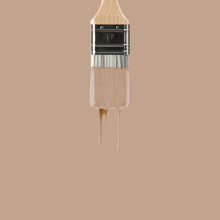 Wall paint | Beige 03 - Moka