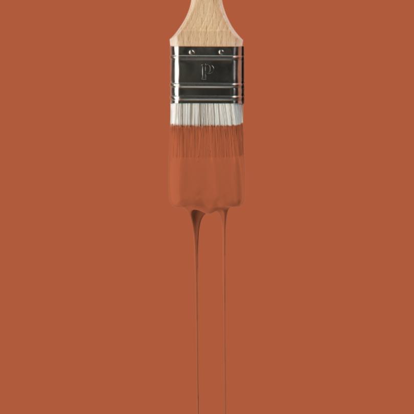 Wall paint | Red 06 - Fauve