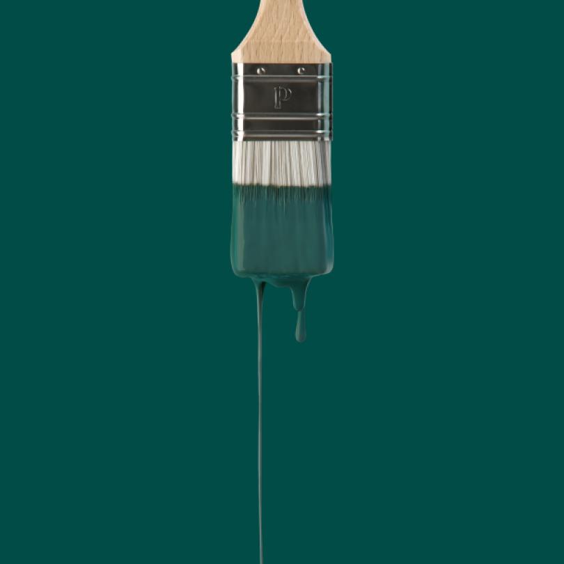 Wall paint | Green 04 - Sauvage