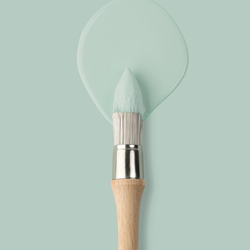 Wall paint |  Green 08 - Celadon