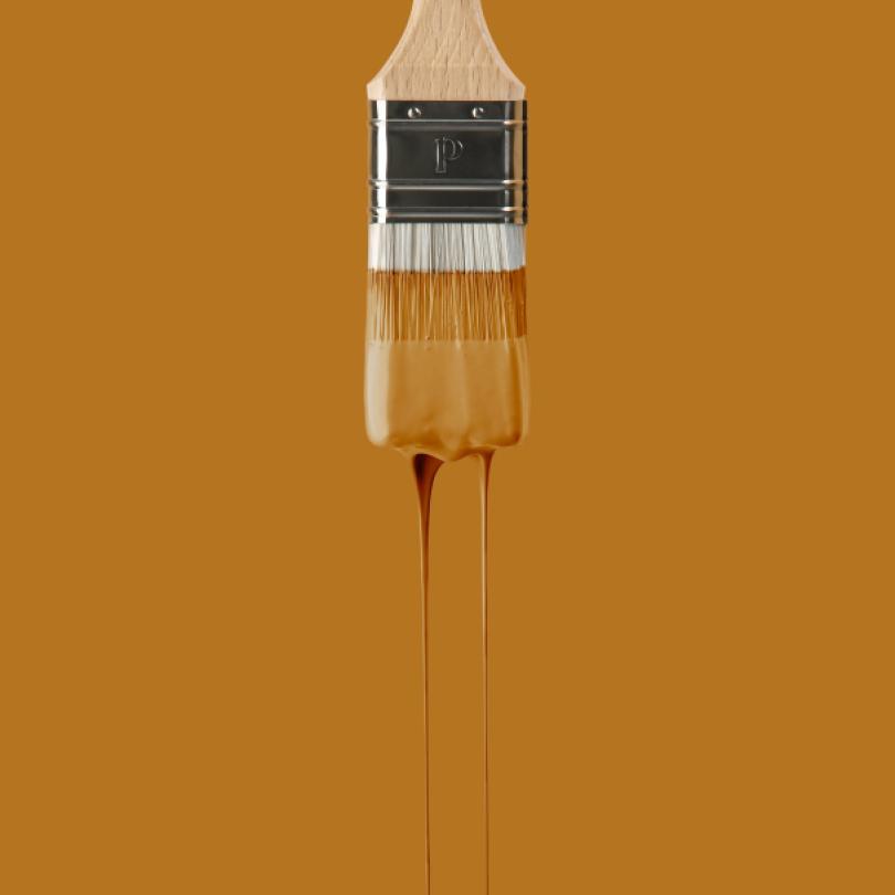 Wall paint | Beige 08 - Ocre | Margaux Keller x Plum