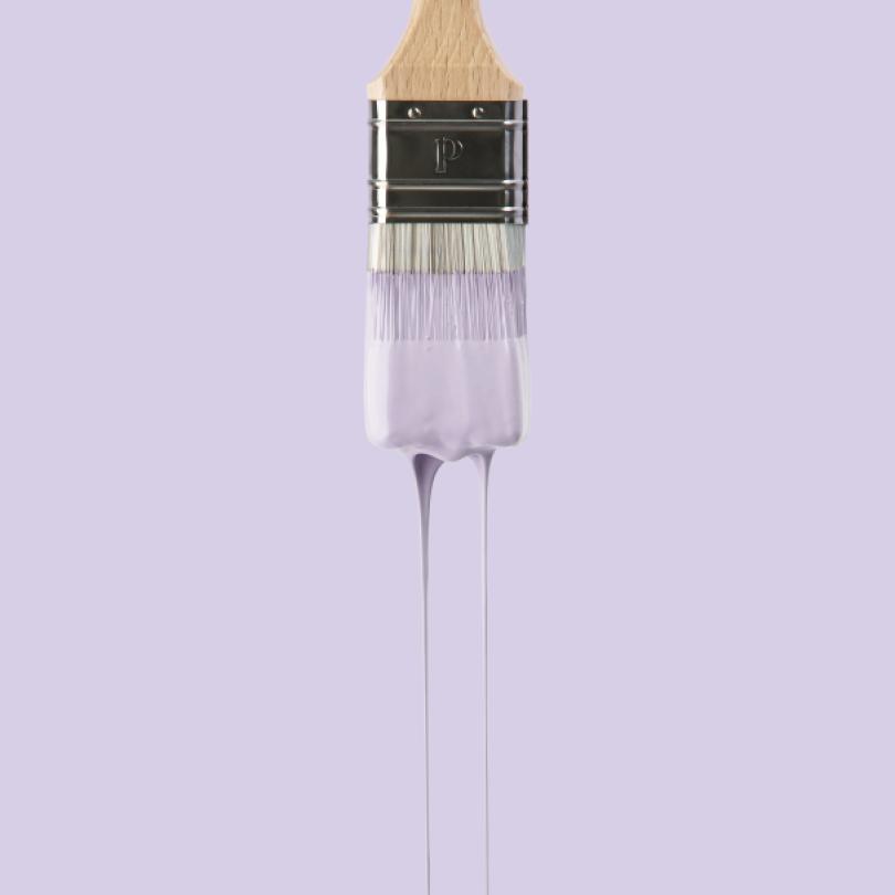 Wall paint | Beige 10 - Lilas