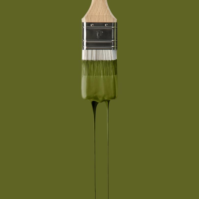 Wall paint | Green 10 - Romarin | Margaux Keller x Plum