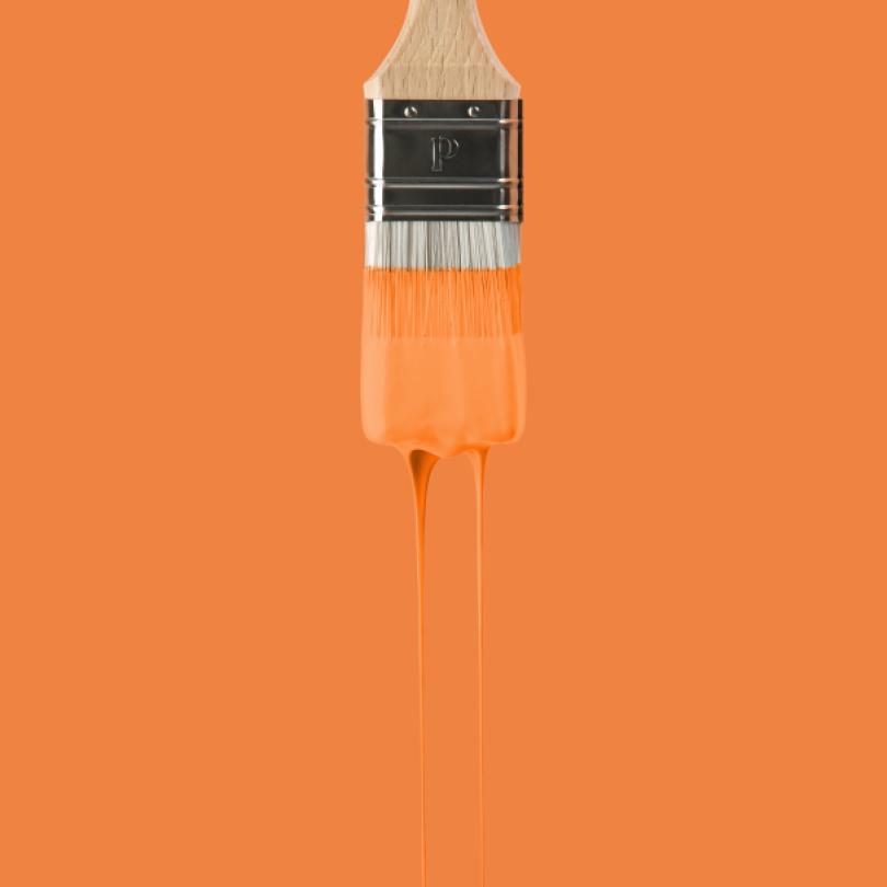 Wall paint | Red 05 - Oranger