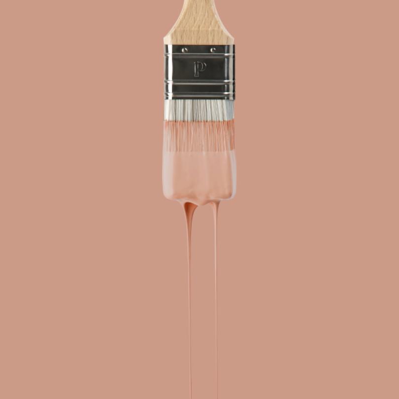 Wall paint | Red 03 - Blush