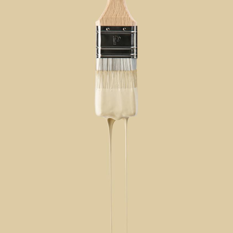 Wall paint | Beige 02 - Sable