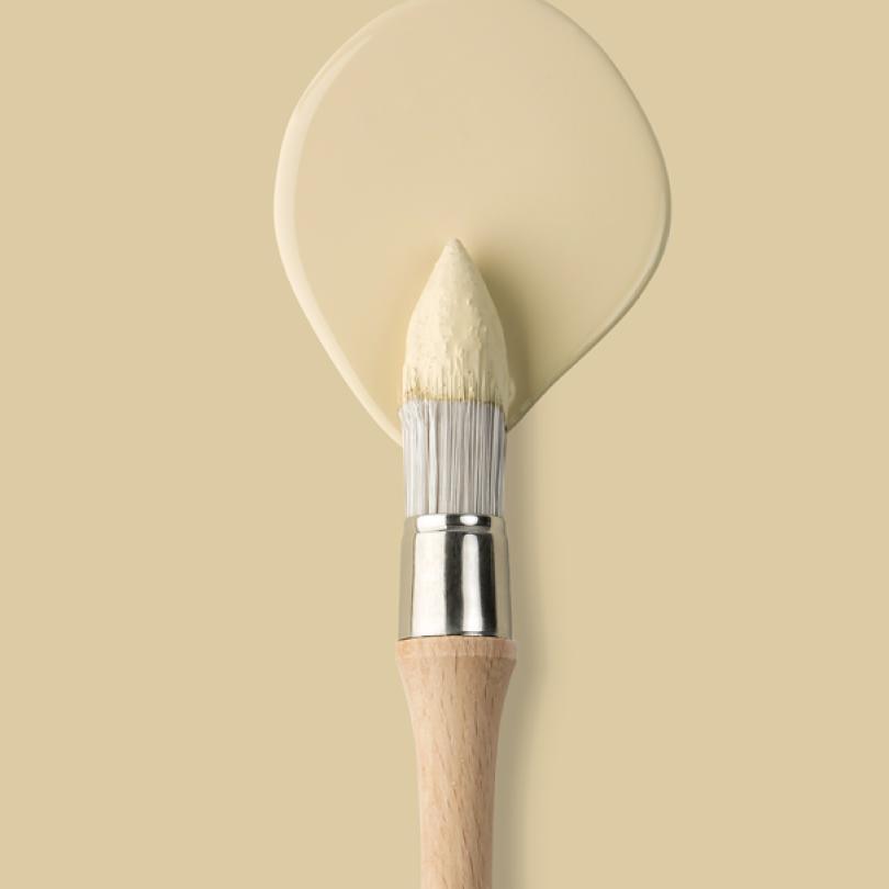 Wall paint | Beige 02 - Sable
