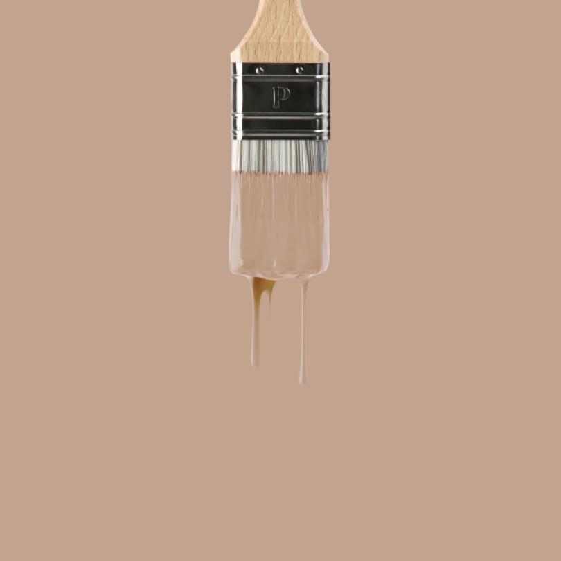 Wall paint | Beige 03 - Moka