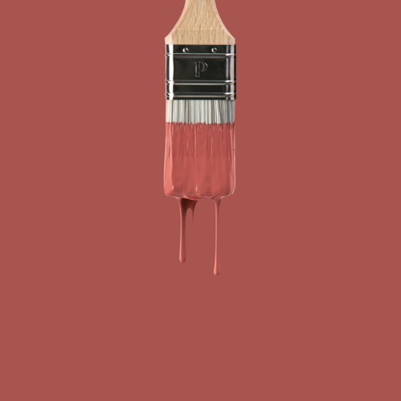 Wall paint | Red 01 - Terra