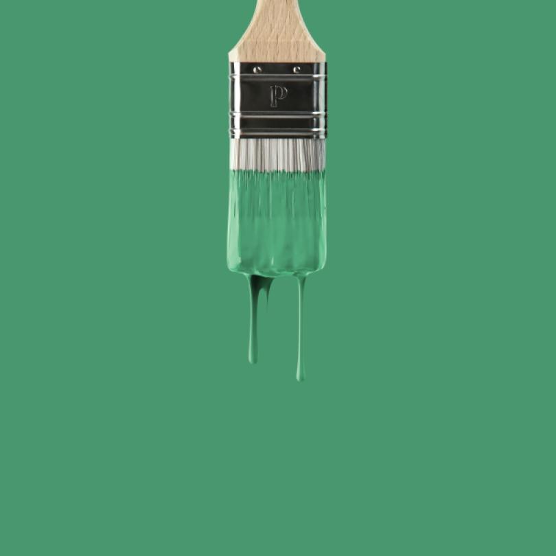 Wall paint |  Green 09 - Leaf